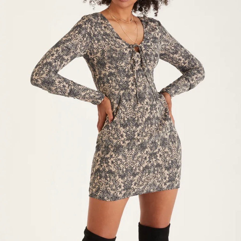 Leopard Print Long Sleeve Dress